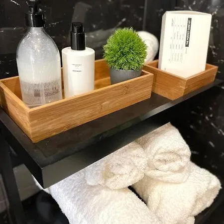 Apartment Luxury In Center