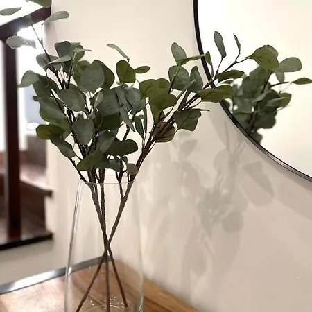 Apartamento Luxury In Center